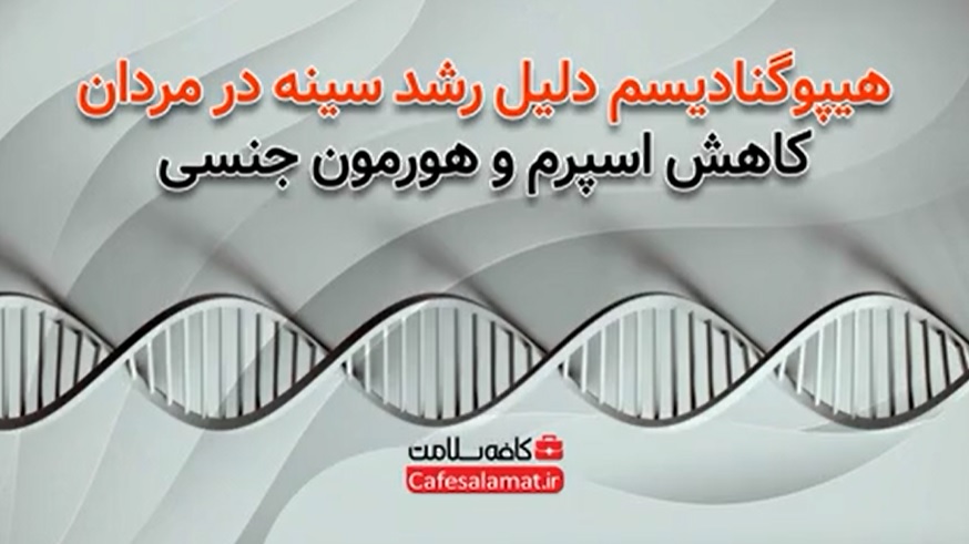 هیپوگنادیسم دلیل رشد سینه در مردان، کاهش اسپرم و هورمون جنسی