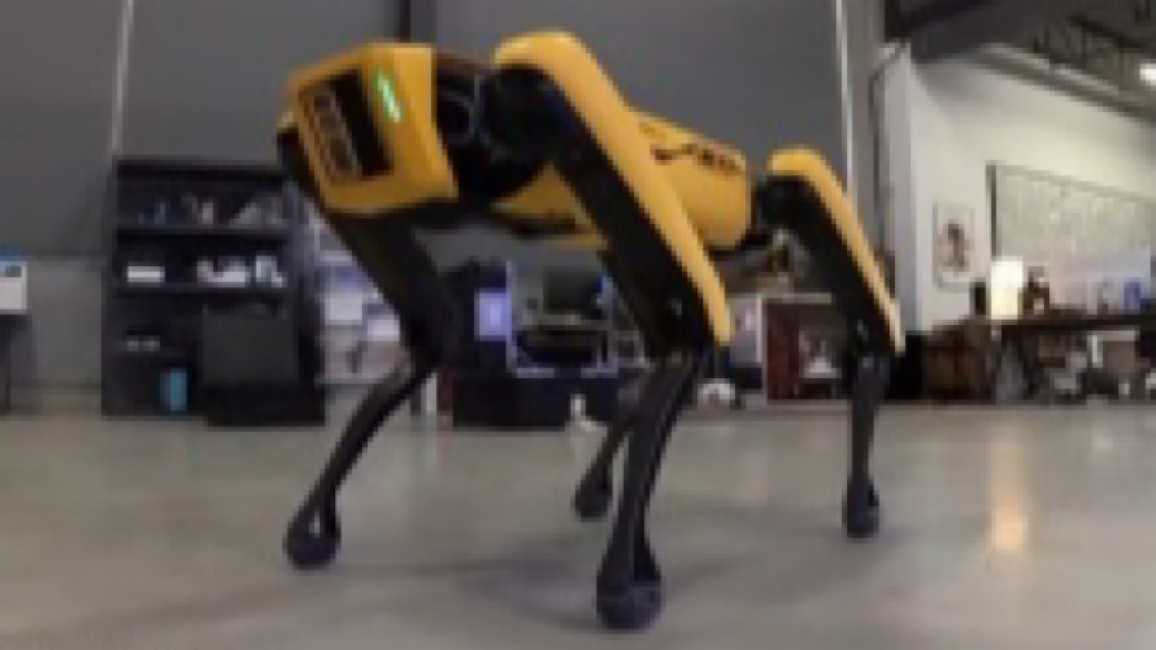 سگ رباتیک هم به چت جی پی تی متصل شد