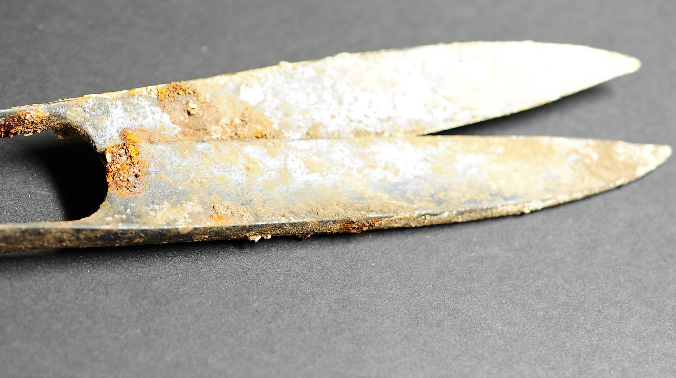 کشف قیچی عجیب ۲ هزار ساله در گور یک مرده+عکس
