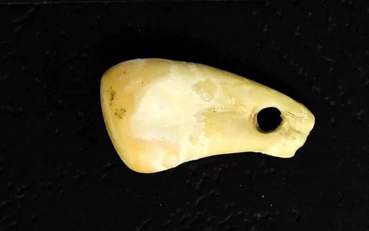  دی‌ان‌ای زن ۲۰ هزار ساله روی دندان عجیب گوزن+عکس