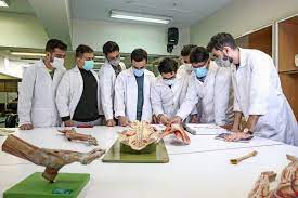 عملکرد دانشگاه‌ها ملاک رتبه‌بندی می‌شود/آیین‌نامه ارتقای اعضای هیئت‌علمی به‌روزرسانی شد