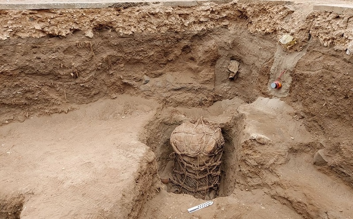 کشف جسد طناب پیچ شده ۵۰۰ ساله در پرو+عکس