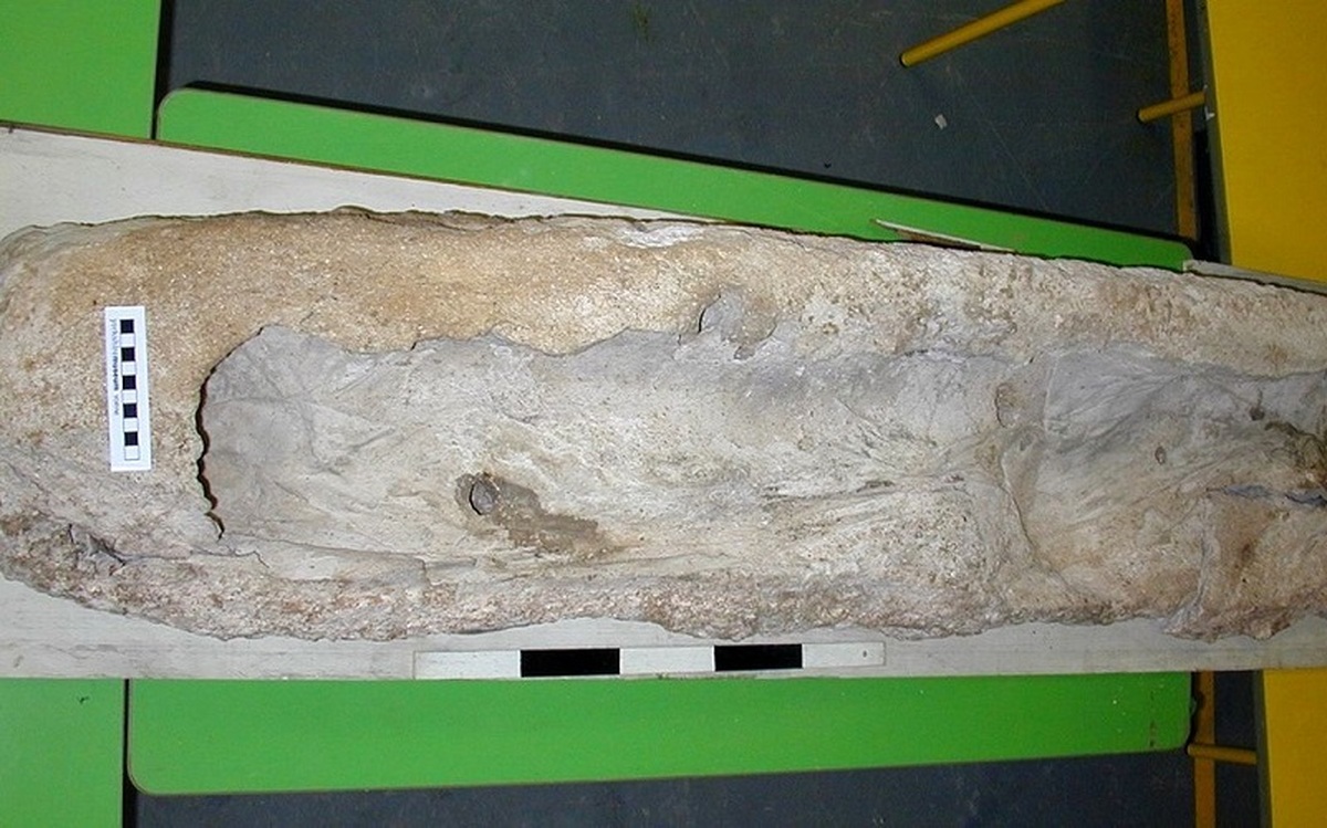 جسد ۱۷۰۰ ساله رومی که در دوغاب دفن شده بود+عکس