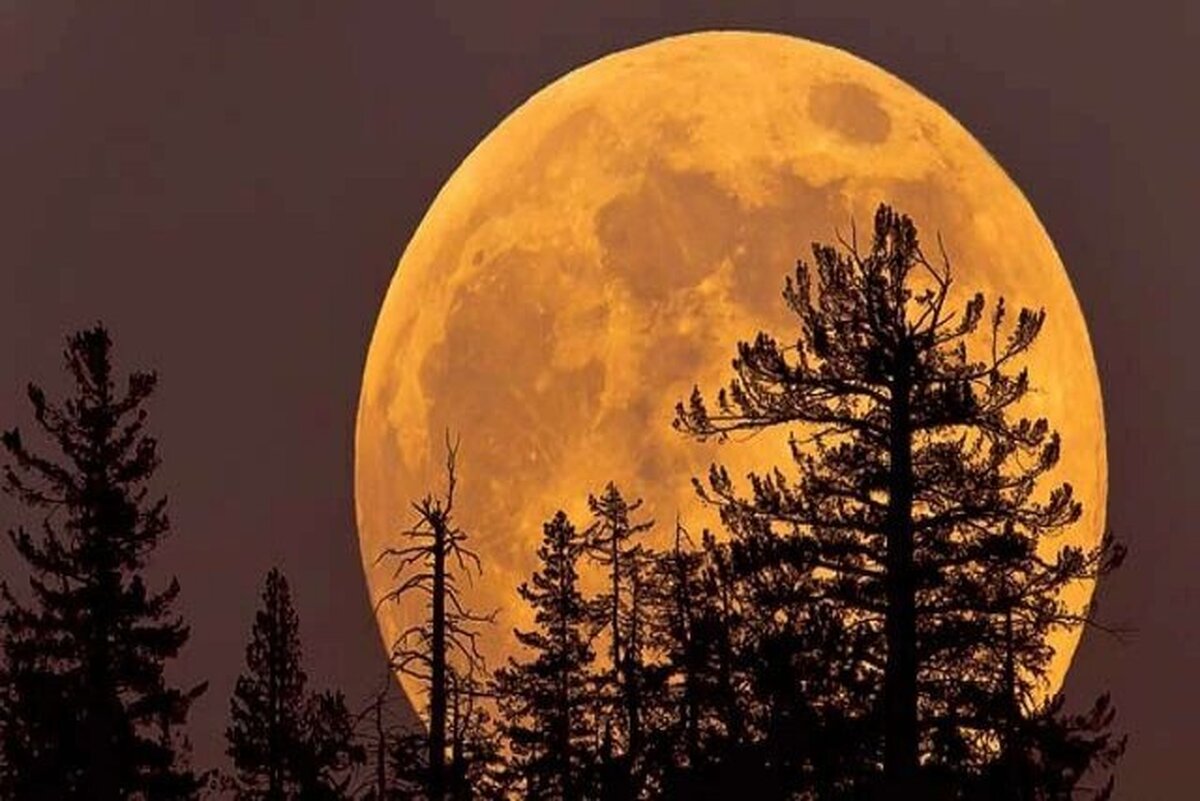  ماه گوزن نر را امشب در آسمان ببینید+عکس