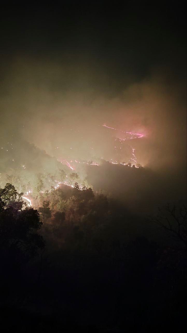 تصویر عجیب از گستردگی آتش سوزی در جنگل‌های مریوان+عکس