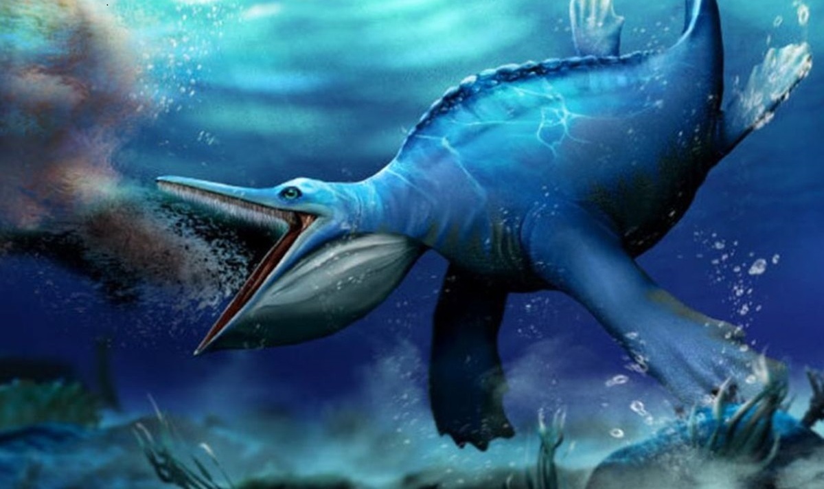 نهنگ توت‌عنخ‌آمون در مصر کشف شد+عکس