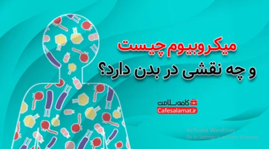 میکروبیوم چیست و چه نقشی در بدن دارد؟