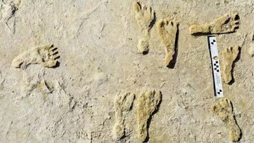 ردپای اولین انسان در آمریکا کشف شد+عکس
