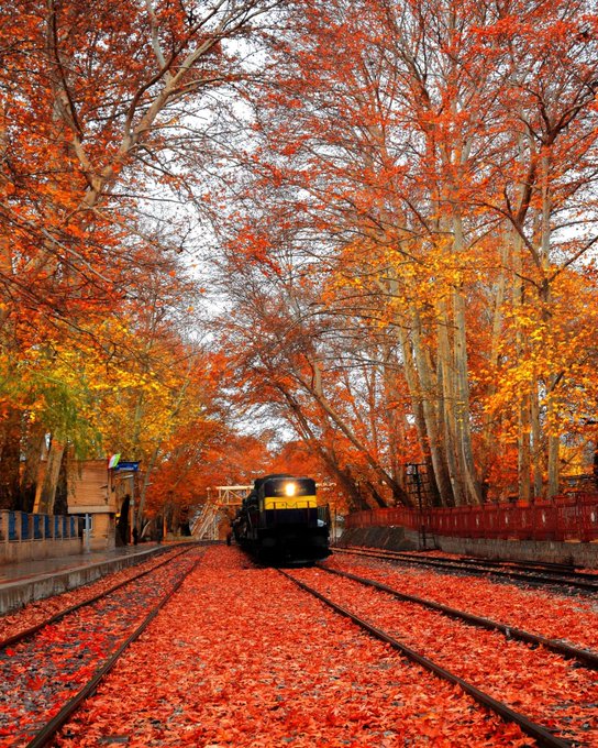 پاییز زیبای ایستگاه راه‌آهن بیشه +عکس