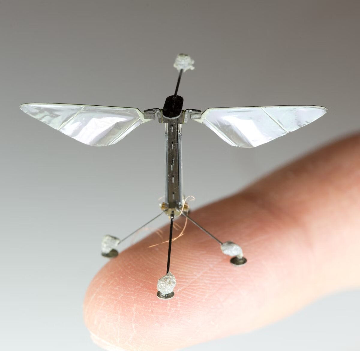 ربات جاسوسی که می‌تواند پرواز کند و به اندازه یک زنبور است+عکس