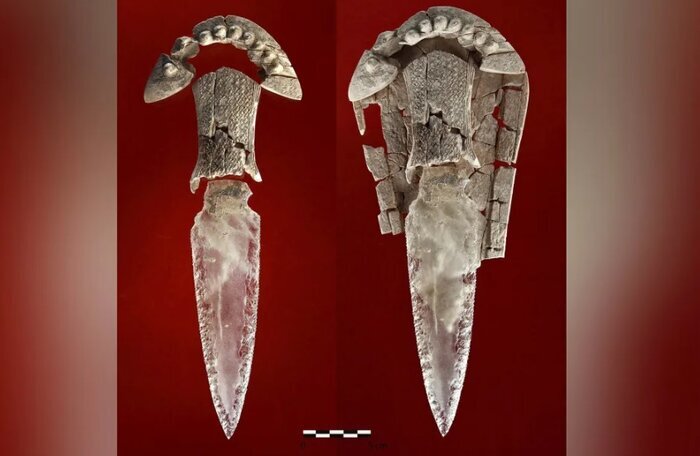 هوش مصنوعی راز اسکلت ۵ هزار ساله با خنجر کریستال را برملا کرد+عکس