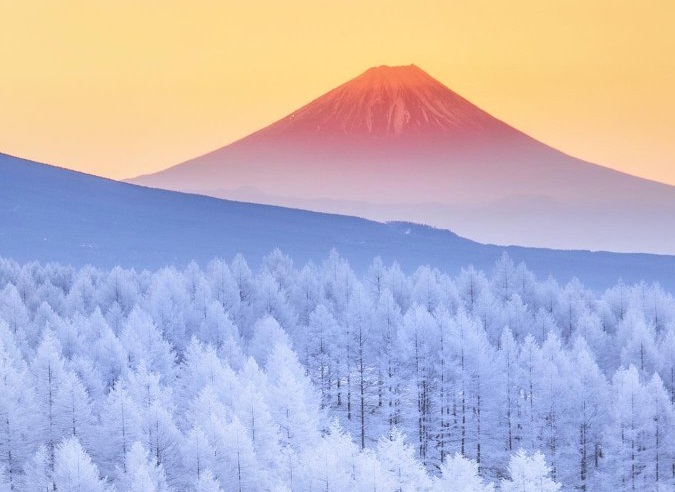 جنگل یخ‌زده و کوه فوجی در ژاپن+عکس