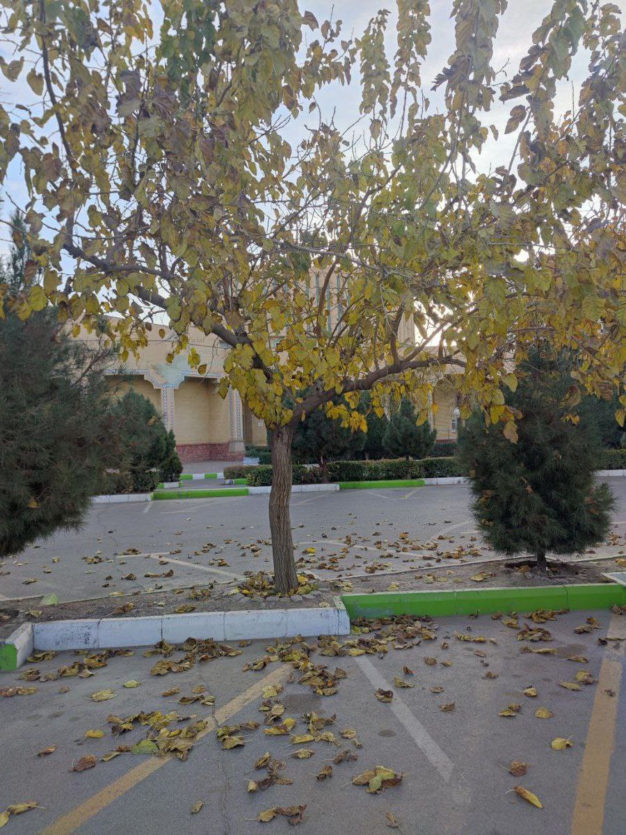 تصویری که خبر از تغییر فصل‌ها در مشهد می‌دهد+عکس