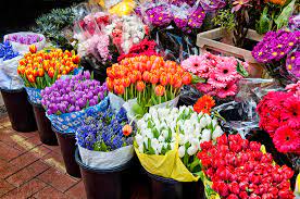  حال و هوای نوروز در بازار گل محلاتی 