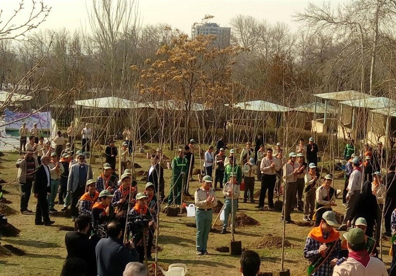 وزیر آموزش‌وپرورش درخت کاشت/ مدیران مدارس به کاشت درخت در فضای مدارس اهتمام کنند