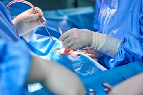 برنامه آموزشی پزشکی عمومی سرفصل  جراحی‏ های زیبایی  ندارد
