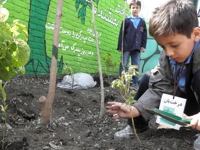 رویکرد ساخت فضاهای آموزشی تهران، «مدارس سبز» است