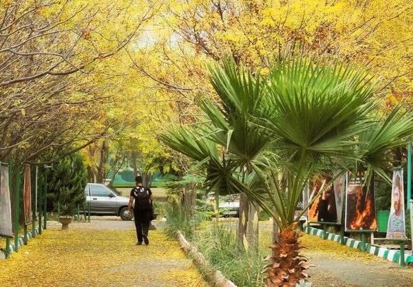 پشت پرده اخراج دانشجویان؛ هیاهوی سیاسی فقط برای یک دانشجو