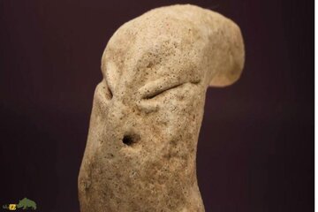 انسان مارنما در کویت پیدا شد+عکس