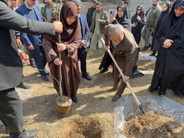 وزیر آموزش و پرورش سنجد کاشت
