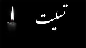 معاون علمی رئیس جمهور درگذشت دانشیار شریف را تسلیت گفت