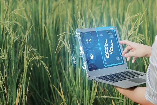 تمرکز دانش بنیان‌ها بر تولید بذور فناورانه و کشاورزی هوشمند دیجیتال