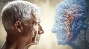 کدام ورزش روند پیری مغز را نزولی می‌کند؟