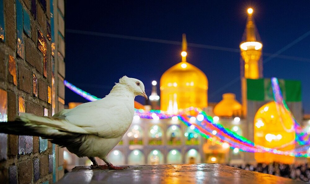 امام رضا (ع) به استقبال این قصاب آمد امام رضا (ع) به استقبال این قصاب آمد