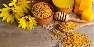 تولید کاغذ و اسفنج از گرده گل!