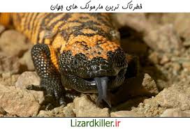 مارمولک‌هایی که برای زنده ماندن باید نمک عطسه کنند!