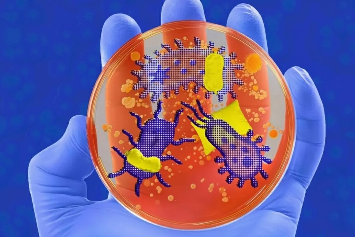 میکروب‌های بدنمان چگونه خواب ما را کنترل می‌کنند؟