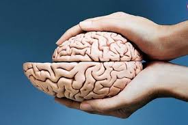 مغز مردان سریع‌تر از زنان کوچک می‌شود