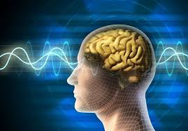 رازهای تقویت مغز با تمرینات ساده روزانه، حقایقی که باید جدی گرفت