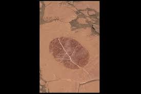 عکس مریخ‌نورد کنجکاوی از اثر انگشت مریخی!