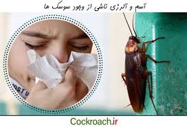 سوسک‌های خانه عامل بروز حساسیت هستند