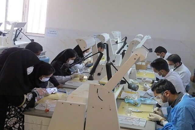 شورای عالی انقلاب فرهنگی: رصد جدی توسعه زیرساخت‌ها پس از افزایش ظرفیت پزشکی