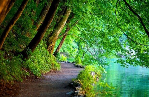  لذت بردن از بهشت مثل  لذت‌های دنیاست؟