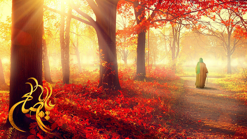 چرا به امام زمان (عج) را شریک‌القرآن می‌گوییم؟