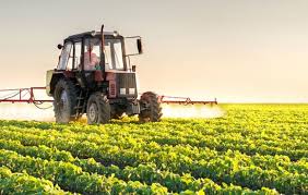 طراحی محصول فناورانه نانویی برای کاهش سموم در محصولات کشاورزی و دامی