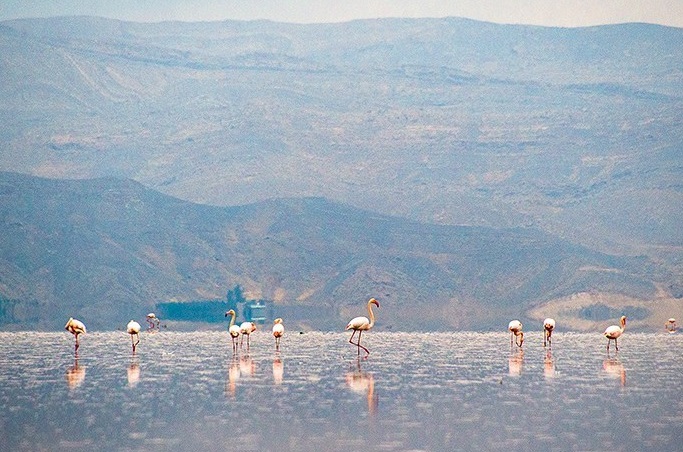 دریاچه مهارلو جانی دوباره گرفت