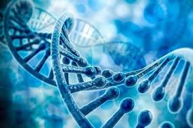 وقتی فناوری نانو به شکار DNA سرطانی می‌رود
