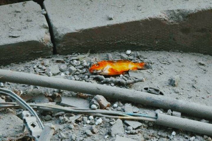  گردآوری روایت‌ و خاطرات جنگ‌ رمضان با هدف‌ پژوهشی