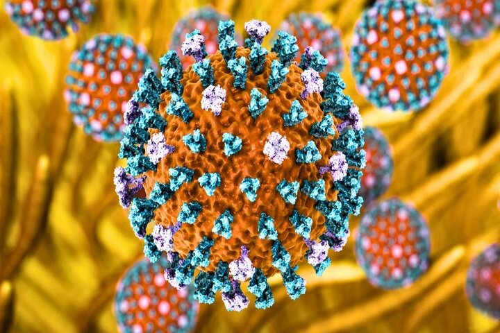 اولین مورد آنفلوانزای پرندگان H9N2 در ایتالیا تایید شد