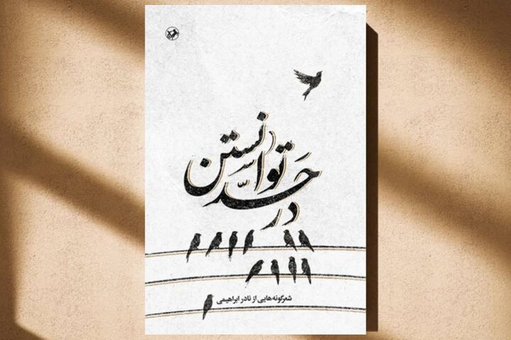 شعرگونه‌های نادر ابراهیمی بعد از ۴۶ سال منتشر شد