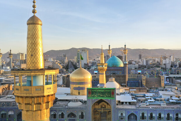  امام رضا(ع) الگویی از دین اجتماعی ارائه داده است