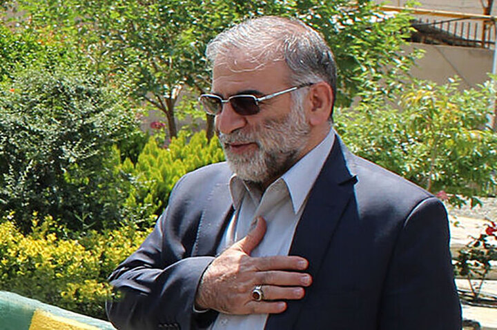 مرد نام آشنای هسته‌ای که مرگ سال‌ها دنبالش بود