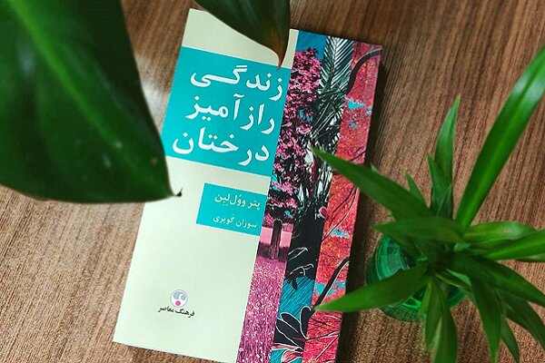 درباره زندگی رازآمیز درختان در این کتاب بخوانید