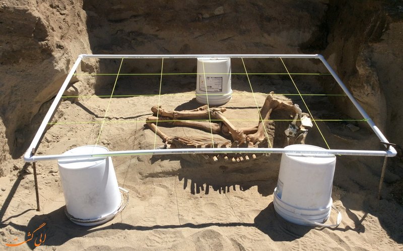 کشف یک اسب ۱۶۰۰۰ ساله مربوط به دوره عصر یخبندان! + تصاویر