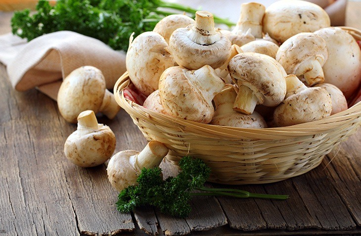قارچ خوراکی سالم را از کجا تهیه کنیم؟