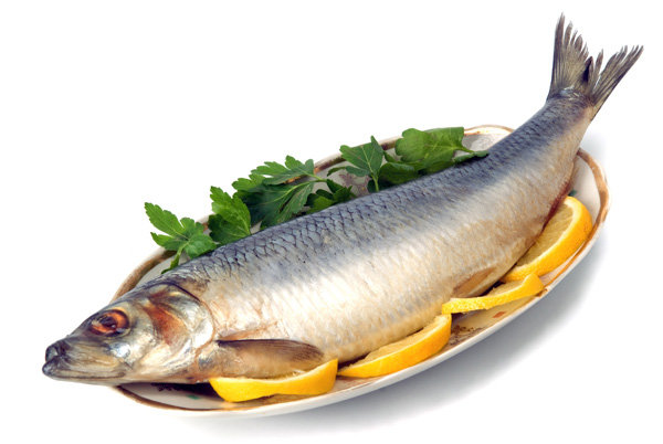 مصرف ماهی موجب افزایش قدرت باروری می‌شود